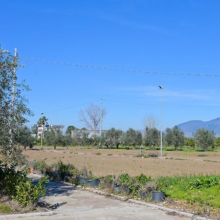 Don Peppe Rooms : Villaggio Green Sant'Angelo in Formis Exteriér fotografie