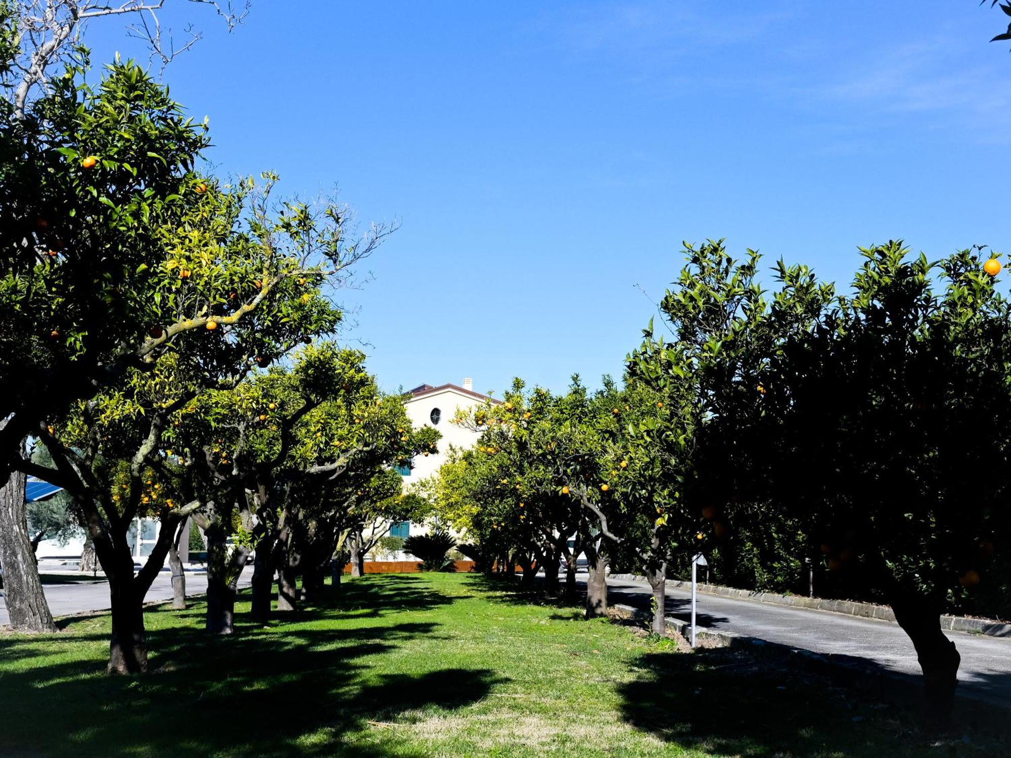 Don Peppe Rooms : Villaggio Green Sant'Angelo in Formis Exteriér fotografie