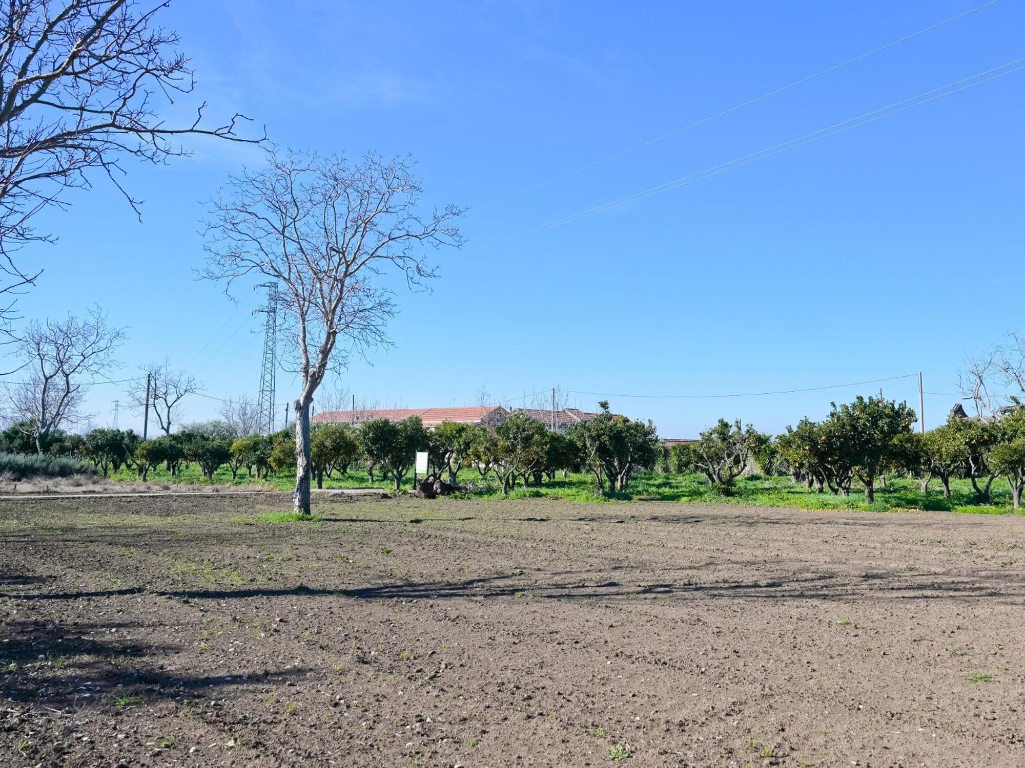 Don Peppe Rooms : Villaggio Green Sant'Angelo in Formis Exteriér fotografie