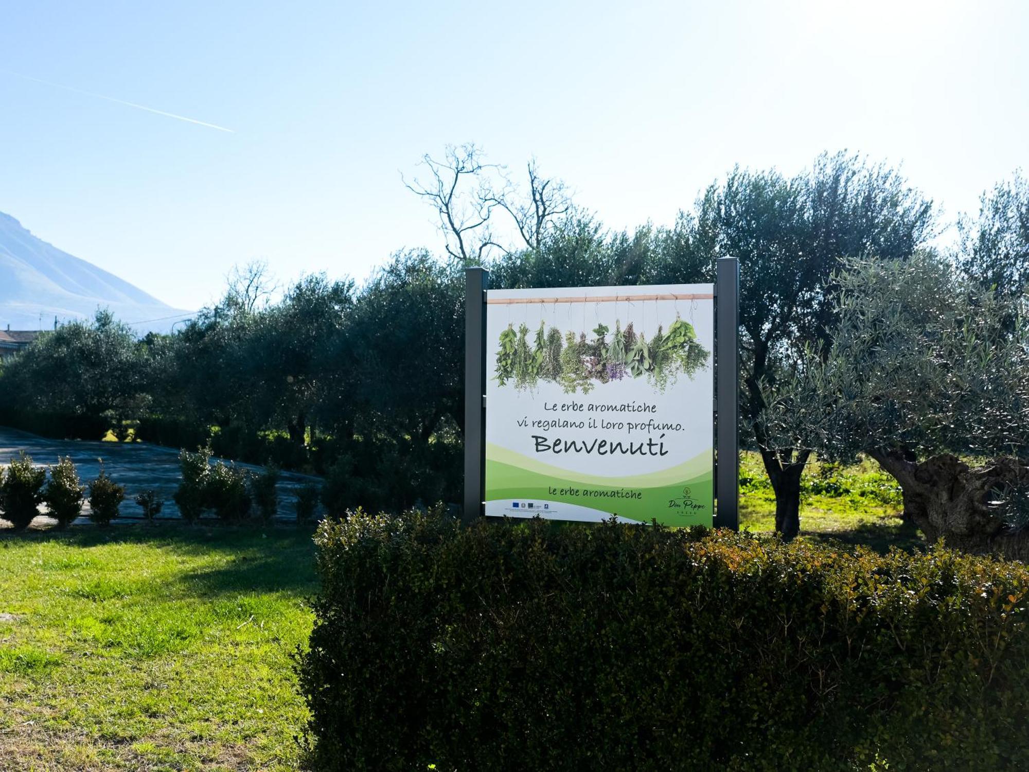 Don Peppe Rooms : Villaggio Green Sant'Angelo in Formis Exteriér fotografie